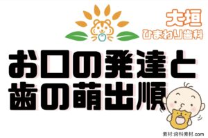 乳幼児期のお口の発達