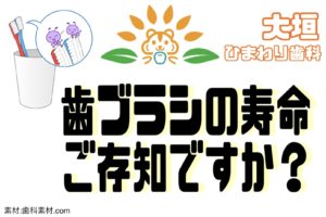 歯ブラシの寿命…ご存じですか?
