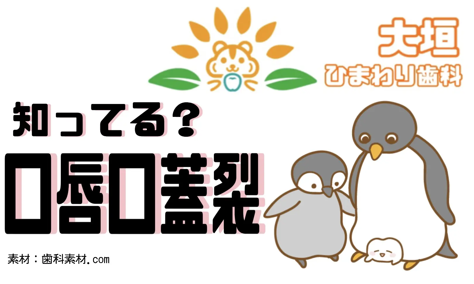 口唇裂・口蓋裂という病気を知っていますか?